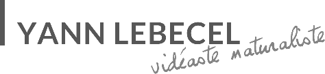 yann lebecel, videaste naturaliste